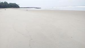 马尔万Samant Beach Resort的沙滩上的足迹