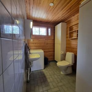 Kaamanen雷文图勒恩图帕山林小屋的一间带卫生间和水槽的小浴室