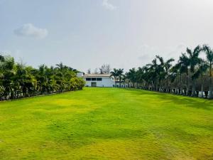 瓦皮RAJ RESORT & BANQUETS的一座大草场,有建筑和棕榈树