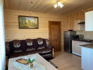 BorysxawAVALON - Котедж на озері的带沙发的客厅和厨房
