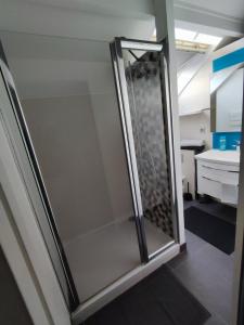 鲁瓦西昂法兰西Duplex Autonome Cosy à Paris Roissy CDG的玻璃门的淋浴间
