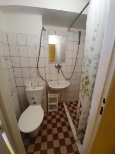 什图罗沃Apartmány Viola的一间带卫生间和水槽的小浴室