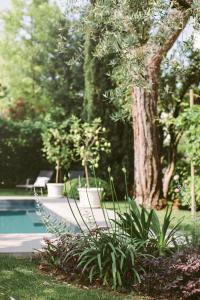 代森扎诺-德尔加达Hotel Piccola Vela的一个带游泳池和树的花园