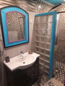 萨拉济Gite LA CASCADE BLANCHE的一间带水槽、镜子和淋浴的浴室