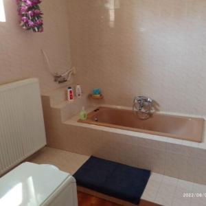 蒂萨菲赖德István Apartman的浴室设有浴缸,厕所旁边铺有蓝色地毯。