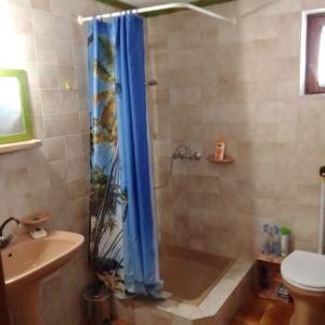 蒂萨菲赖德István Apartman的一间带蓝色淋浴帘的淋浴的浴室
