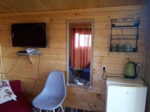 梅图拉חלום בגורן - צימר קט的客房设有木墙、电视和椅子。