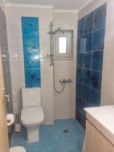 基萨莫斯Villa Vanessa的浴室设有卫生间和蓝色瓷砖淋浴。