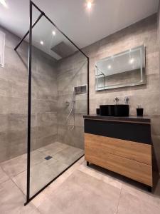 马赛Maison avec Jacuzzi Marseille的带淋浴、水槽和镜子的浴室