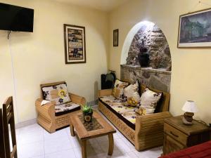 瓜纳华托Noria House in Exhacienda La Escalera的客厅设有两张沙发和一个壁炉