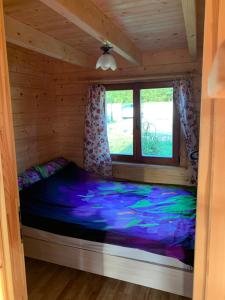 吉日茨科Domki u Wiesi的配有窗户的小木屋内的一张床位