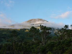 São MateusCasas do Amarelo的森林中云雾 ⁇ 绕的山