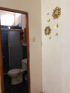 蒙塔尼塔UFO House的浴室设有卫生间,墙上挂有蝴蝶。