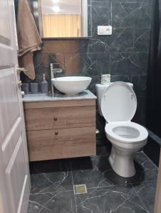 第比利斯Mary's Cozy & Lovely studio on very quiet Khosharauli street的浴室配有白色卫生间和盥洗盆。