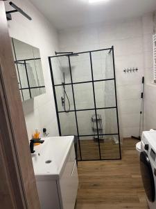 乌斯特卡Luxoro Park Apartament Nero的带淋浴和白色盥洗盆的浴室