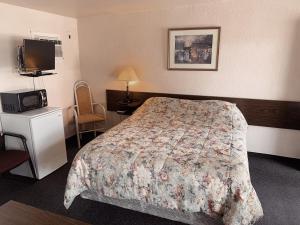普林斯顿Evergreen Motel的一间酒店客房,配有一张床和一台电视