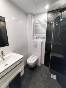 派尔努Suur-Sepa apartment near city centre and beach的浴室配有卫生间、盥洗盆和淋浴。