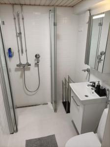 赫尔辛基Ihan Puotilan Metron lähellä的带淋浴、卫生间和盥洗盆的浴室
