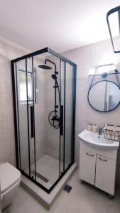 阿彻奇洛斯Stegna Rita's apartment的带淋浴、卫生间和盥洗盆的浴室