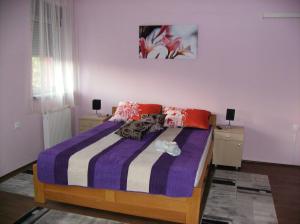 Sremska KamenicaB&B Zmajevo Gnezdo 021的一间卧室配有床和2个床头柜