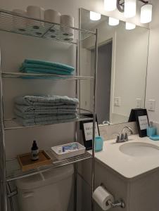 卡尔加里Livingston Howse Haven - A simple & cozy private two-bedroom basement suite with free parking的一间带水槽和镜子的浴室