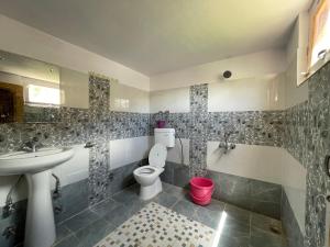 列城Gaywoo Guest House的一间带卫生间和水槽的浴室