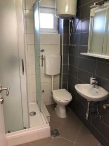 苏提万Apartments with a parking space Sutivan, Brac - 5629的浴室配有卫生间、盥洗盆和淋浴。