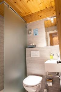格里门茨Hôtel Alpina - Swiss Ski & Bike Lodge Grimentz的浴室配有白色卫生间和盥洗盆。