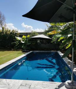 布里斯班OXLEY Private Heated Mineral Pool & Private Home的院子里带遮阳伞的游泳池