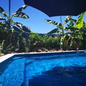 布里斯班OXLEY Private Heated Mineral Pool & Private Home的蓝色的游泳池,配有雨伞和植物