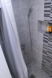 维尔蒂尼克Zlatne perle的浴室内配有淋浴帘。