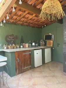 AuriolLa Maison Perchée的厨房设有绿色的墙壁和台面