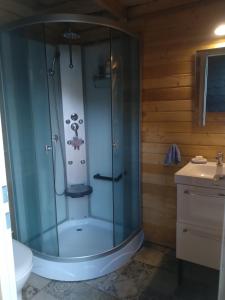 Tiny House Village Resort的浴室里设有玻璃门淋浴