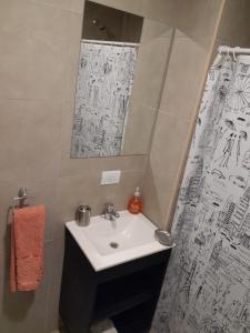 罗萨里奥París 1 Monoambiente的一间带水槽和淋浴帘的浴室