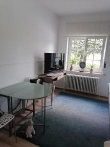 利布拉蒙Les studios du Domaine d'Eva的客厅配有桌子、电视和窗户。