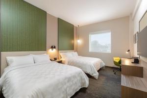 皮乌拉Holiday Inn - Piura, an IHG Hotel的酒店客房设有两张床和窗户。