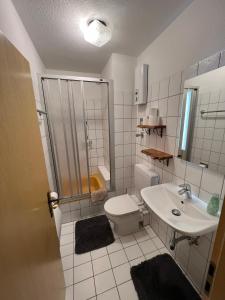 温特贝格Ferienwohnung am Hillestausee的带淋浴、卫生间和盥洗盆的浴室