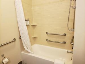 WestoverCandlewood Suites MORGANTOWN-UNIV WEST VIRGINIA, an IHG Hotel的带浴缸、卫生间和淋浴的浴室。