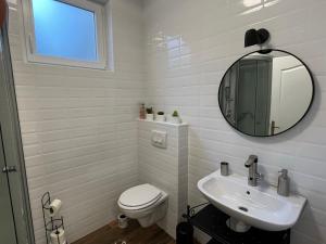 克拉皮纳Apartman Mr Guest Krapina的一间带卫生间、水槽和镜子的浴室