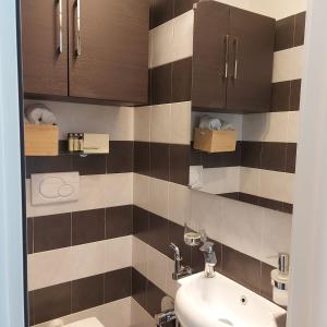 巴里suite48的一间带卫生间和水槽的浴室