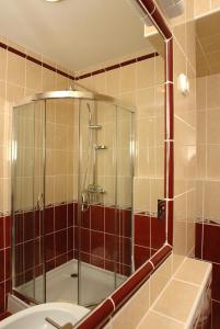 哈卡尼Komfort Hotel Platan的浴室里设有玻璃门淋浴