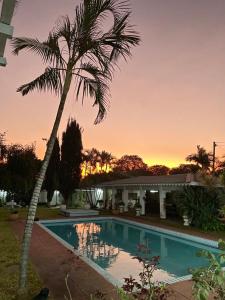 恩多拉Copperbelt Executive Accommodation Ndola, Zambia的棕榈树和一个带游泳池的房子