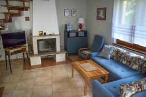 罗威bliźniak-apartamenty的客厅设有蓝色的沙发和壁炉