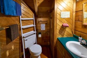 赛维尔维尔Gatlinburg Area Hottub Cabin - Ladyslipper的一间带卫生间和水槽的浴室
