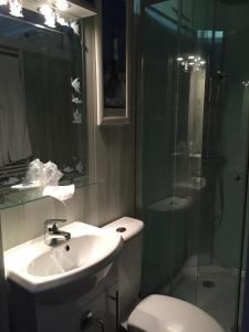 拉特斯特德布赫LA MAISON DES HIPPOCAMPES的浴室配有卫生间、盥洗盆和淋浴。