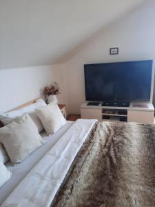 米库洛夫Apartmán Mikulov的一间卧室配有一张大床和一台平面电视