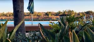 比勒陀利亚Blyde Luxury Apartment的从种有植物的花园中欣赏到游泳池的景色