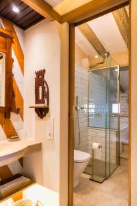 贝萨卢El Molino de Besalú Casa con jardín的一间带玻璃淋浴和卫生间的浴室