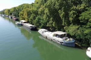 阿维尼翁Location Péniche Avignon的两艘船停靠在一条树木繁茂的河上