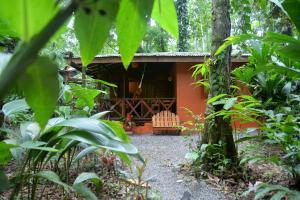 别霍港Pachamama Jungle River Lodge - Punta Uva的丛林中带秋千的房子